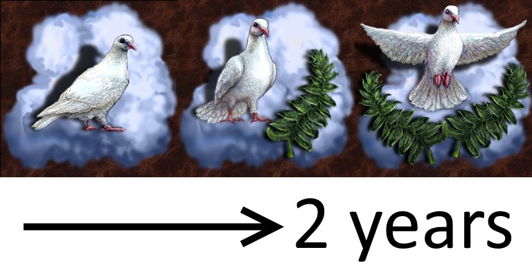 twoYears